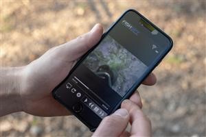 Check for Spyware on Your Phone